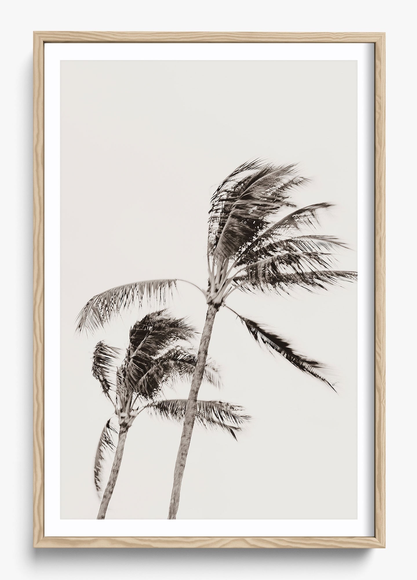 Island Breezy