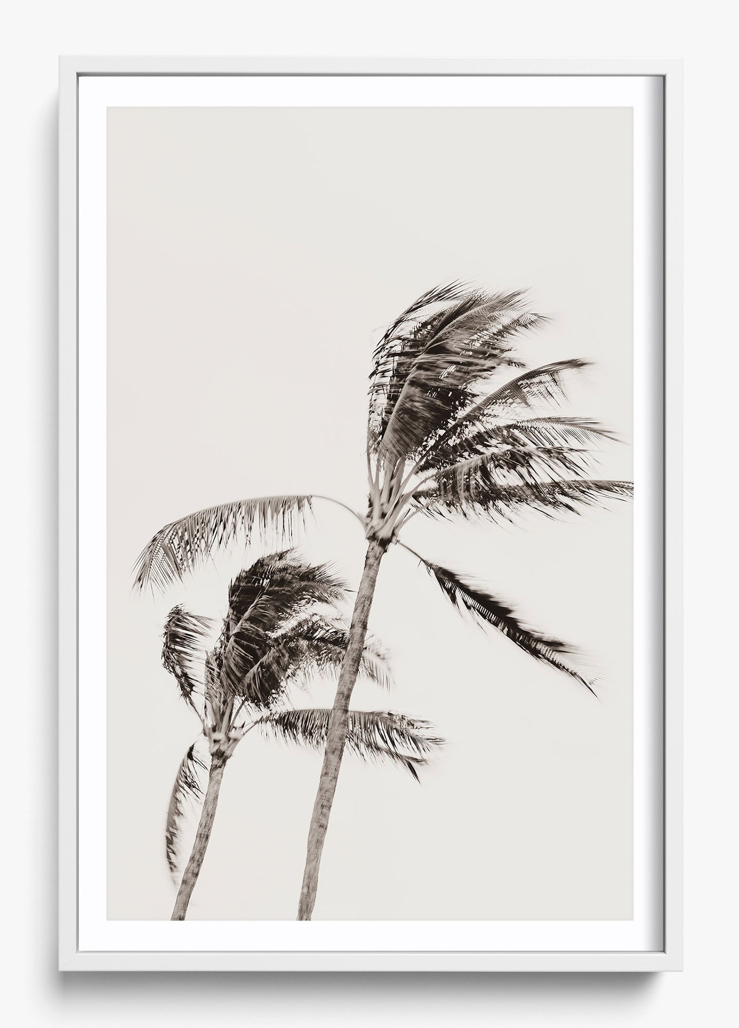 Island Breezy