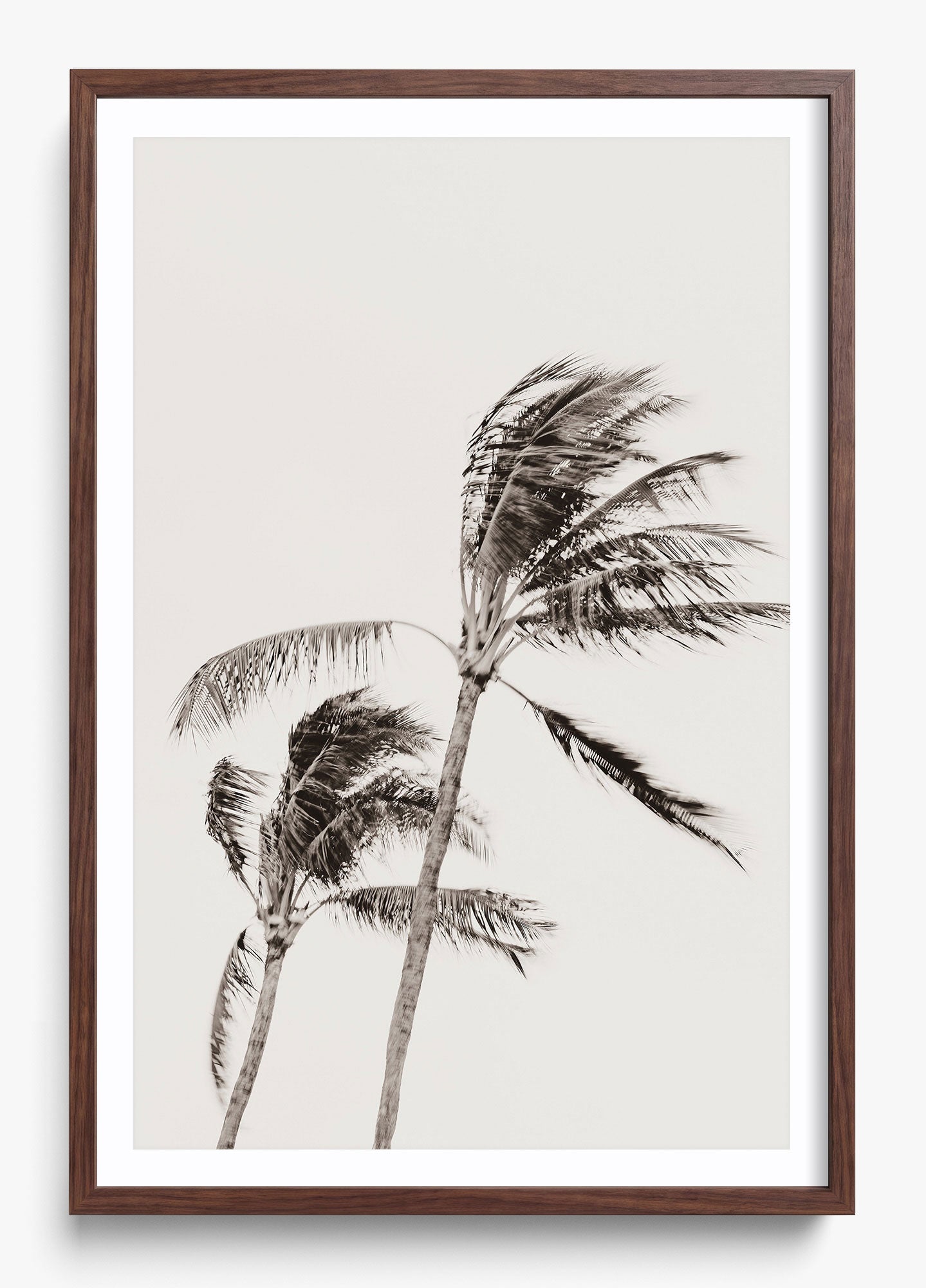 Island Breezy