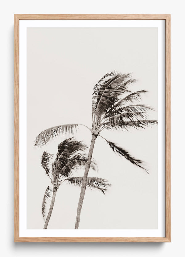 Island Breezy in a Hickory frame