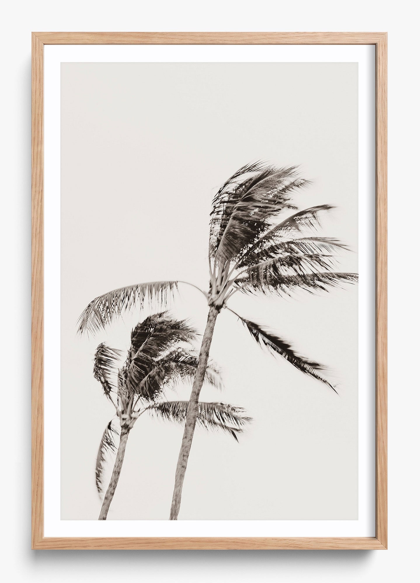 Island Breezy