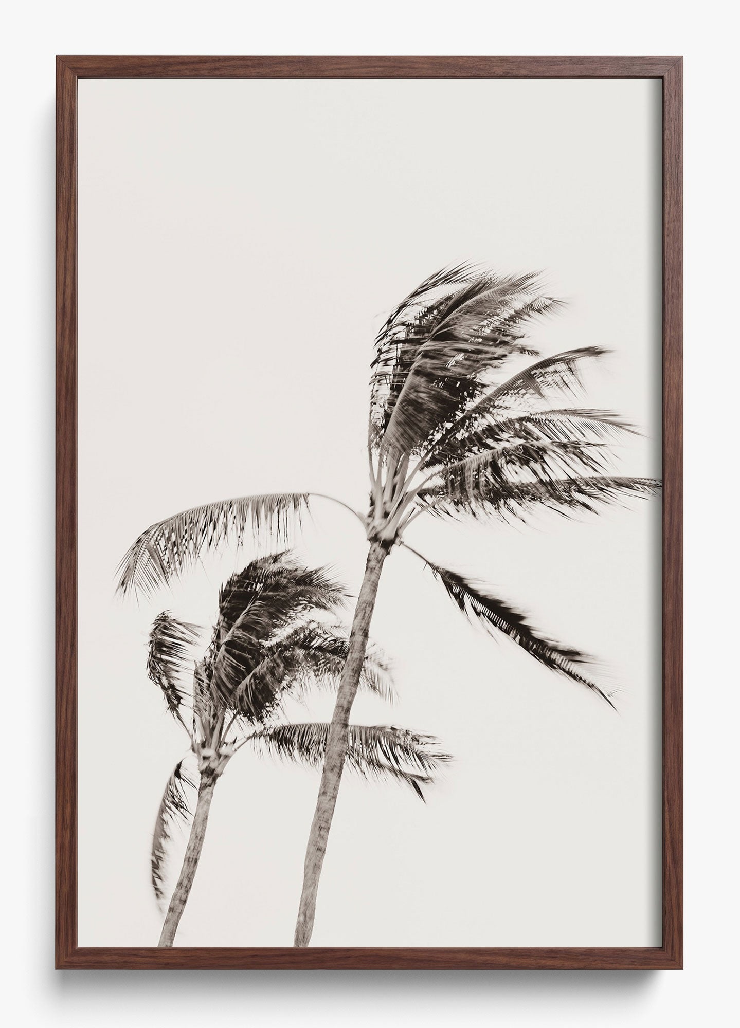 Island Breezy
