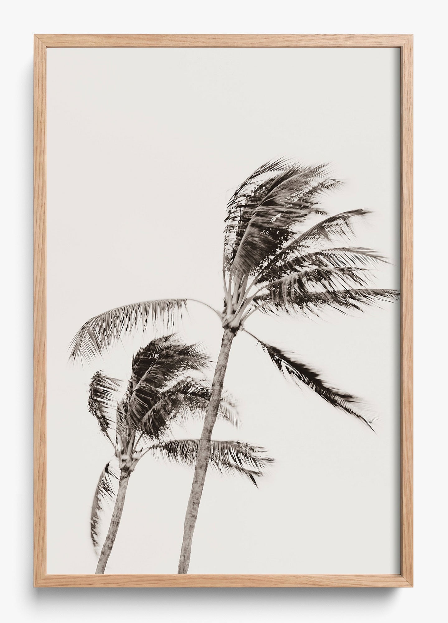 Island Breezy