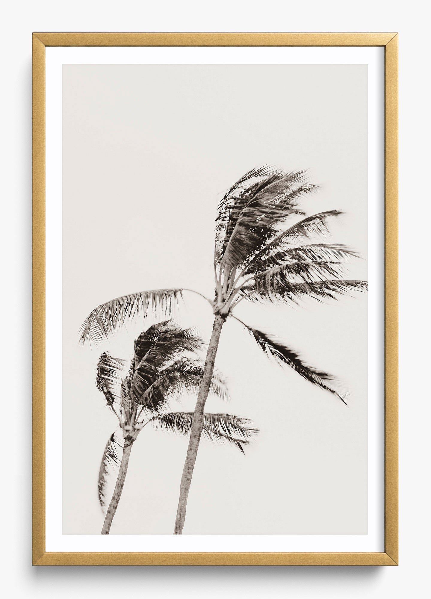 Island Breezy