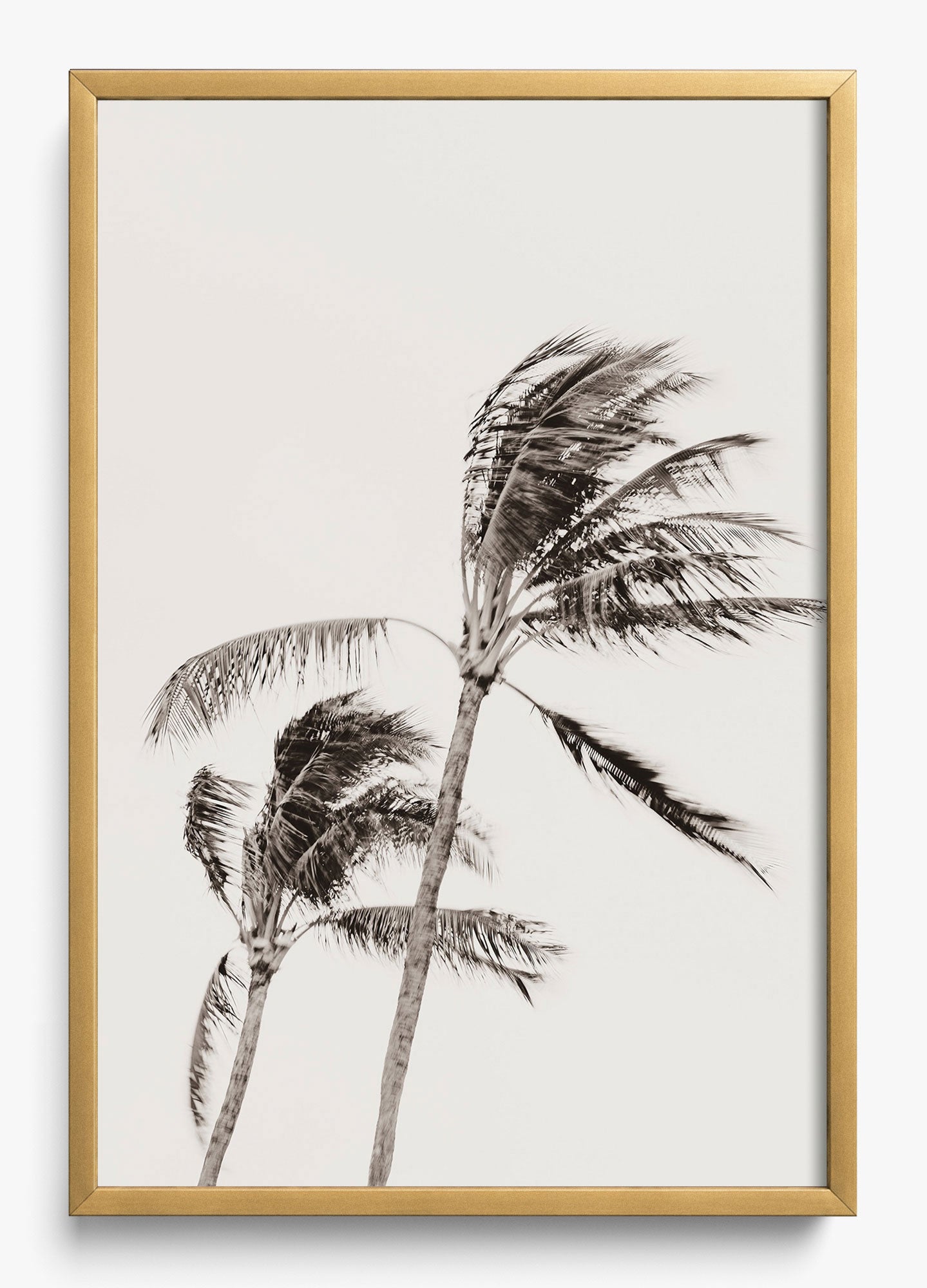 Island Breezy