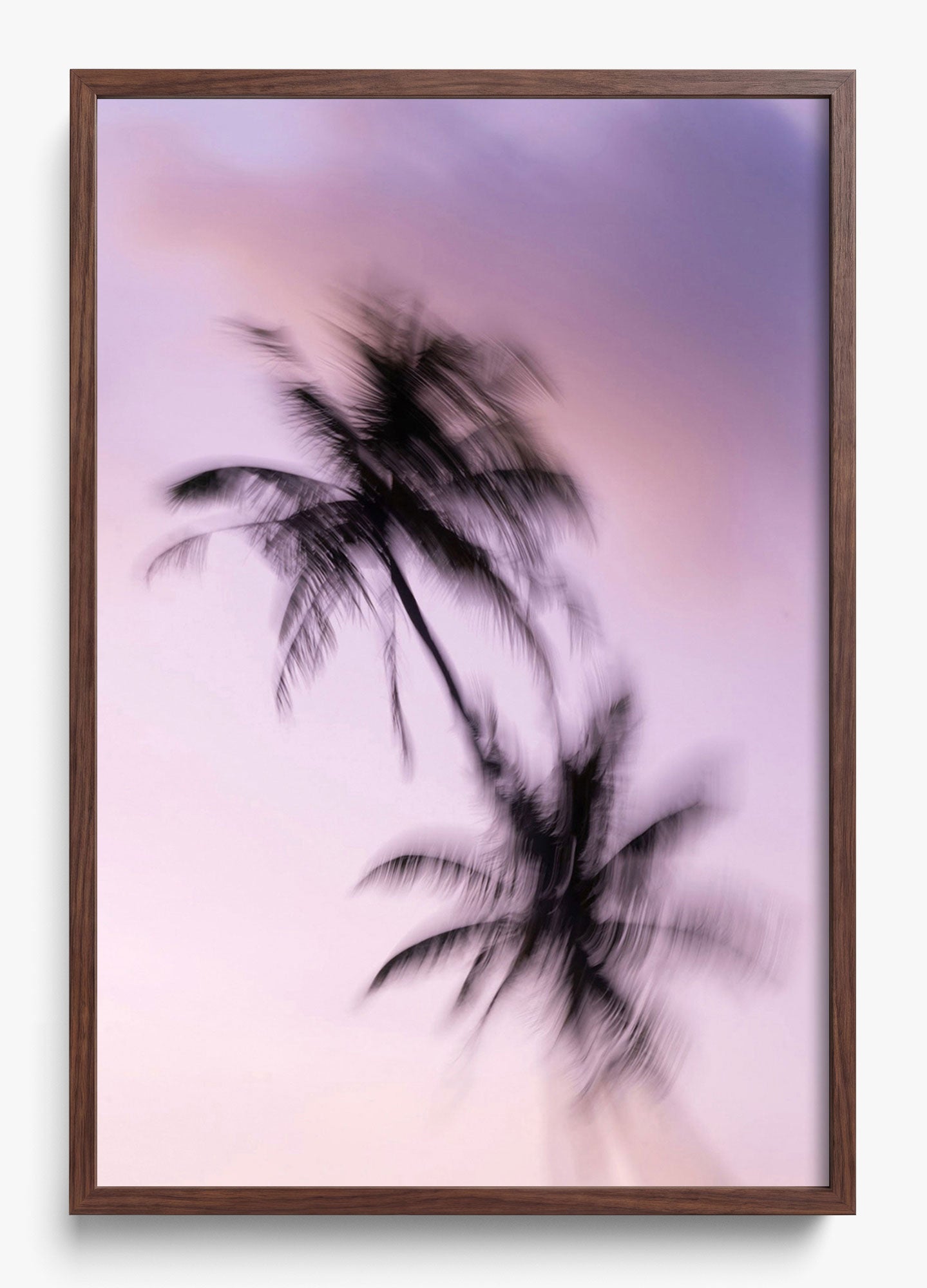 Island Drift