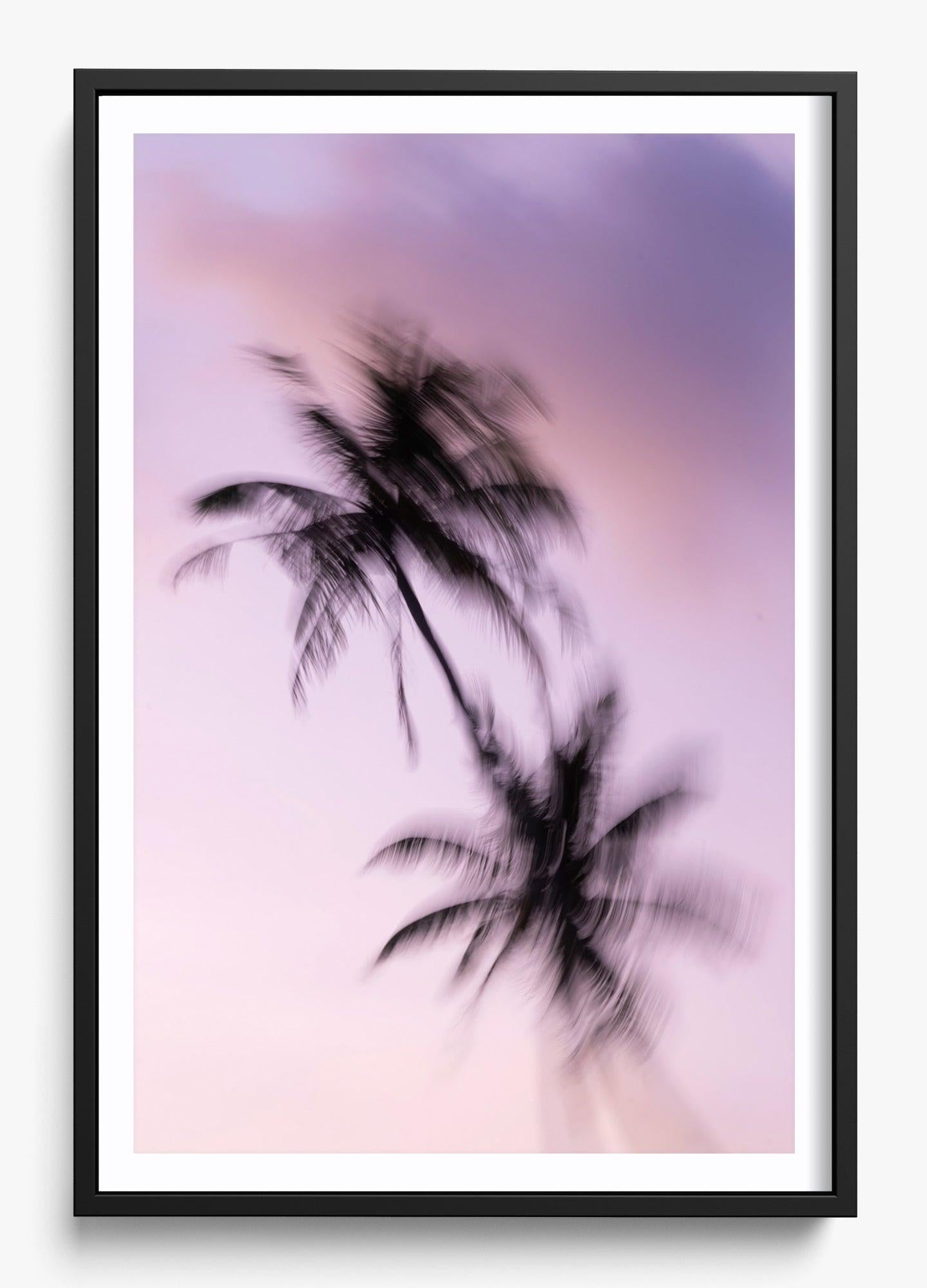 Island Drift