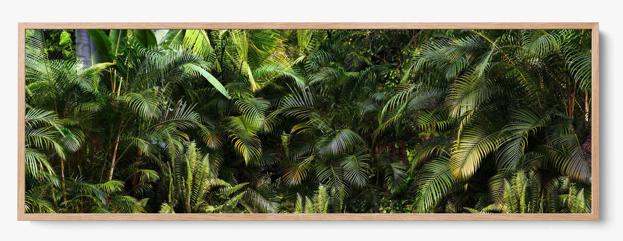 Jungle Fever