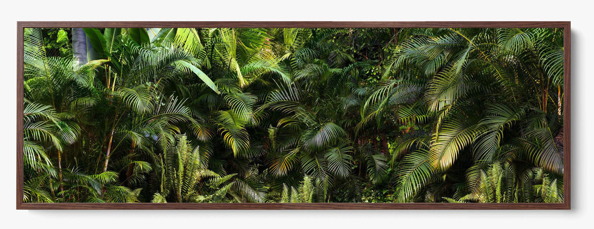 Jungle Fever