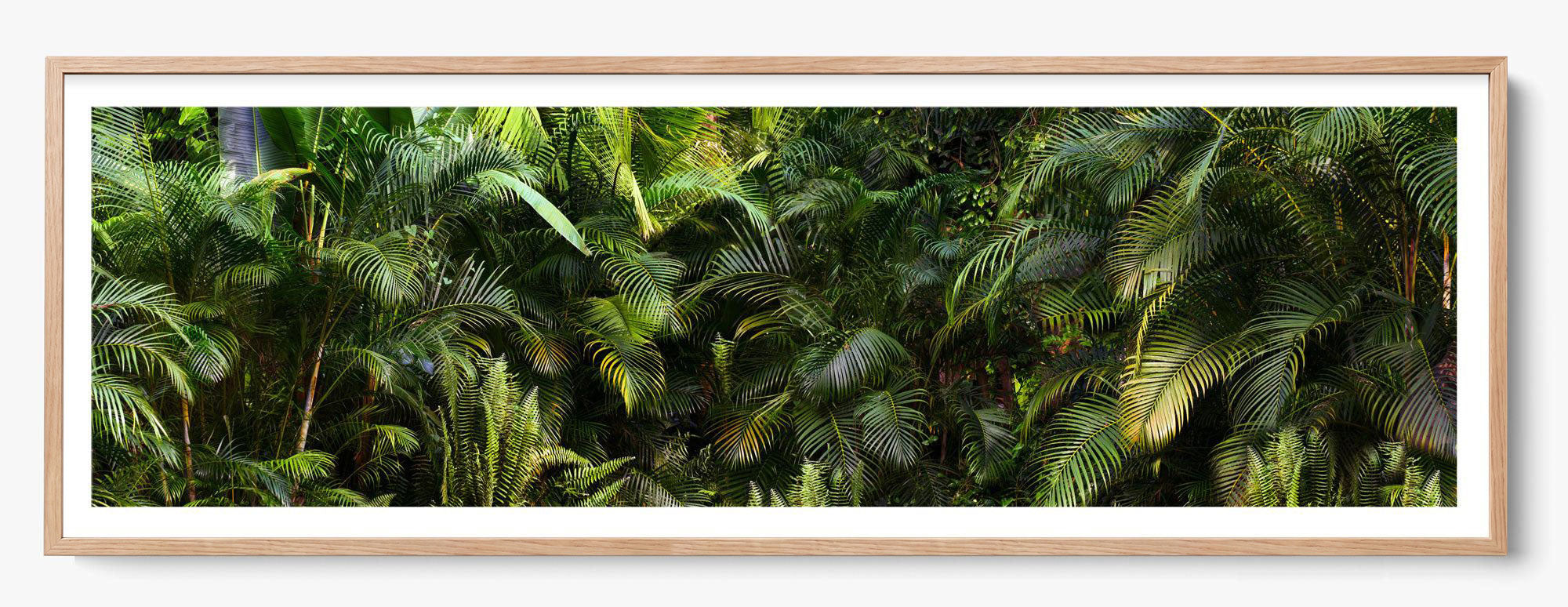 Jungle Fever