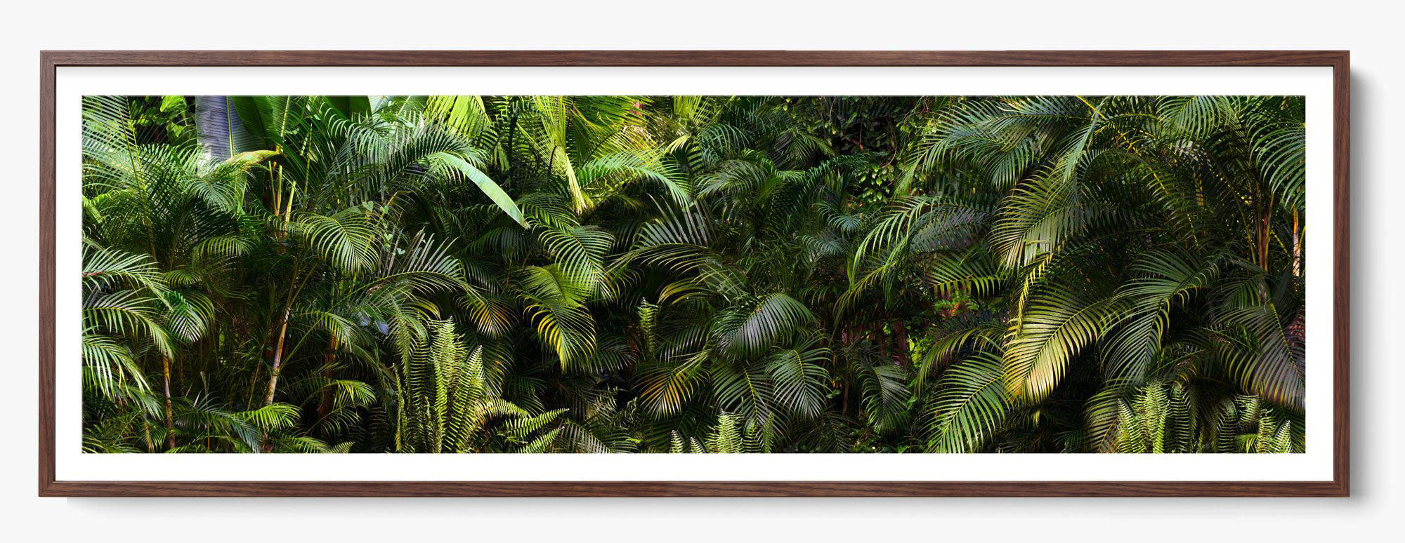 Jungle Fever