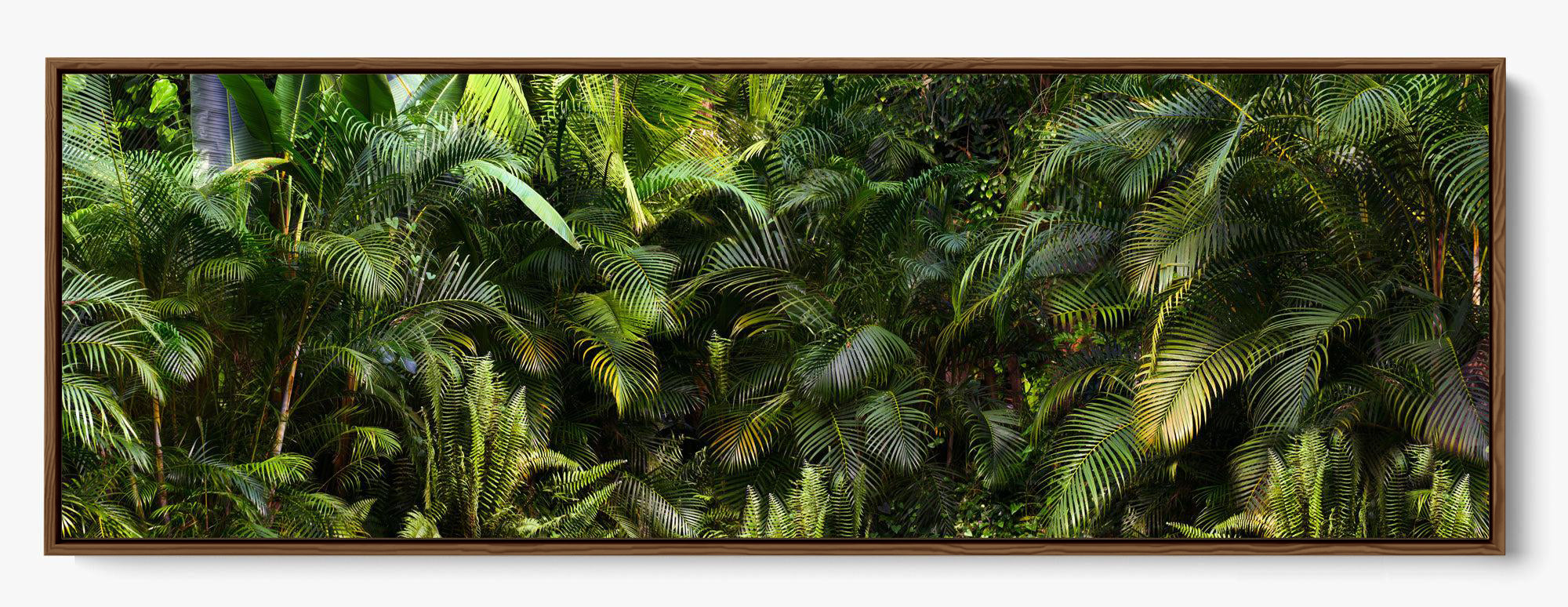 Jungle Fever