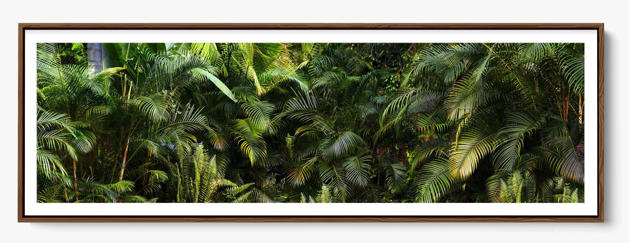 Jungle Fever