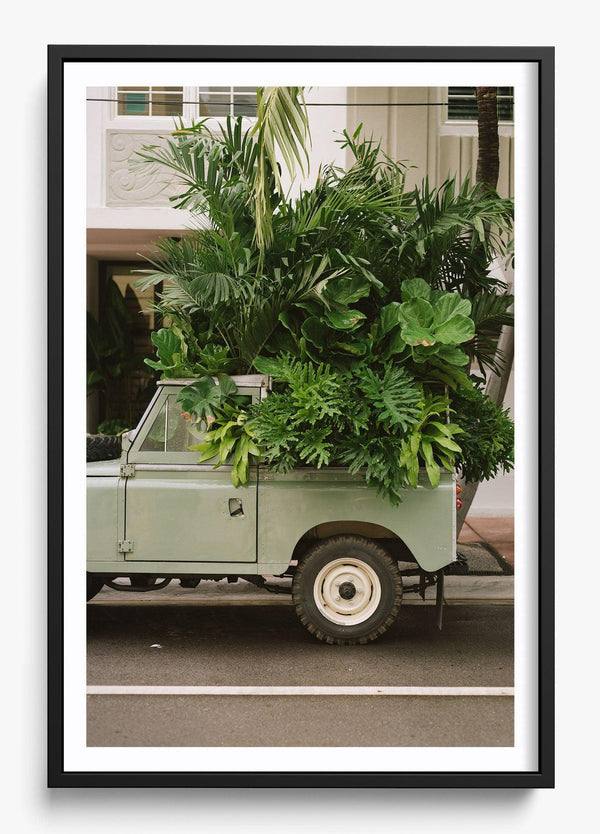 Junk In The Trunk in a Black frame