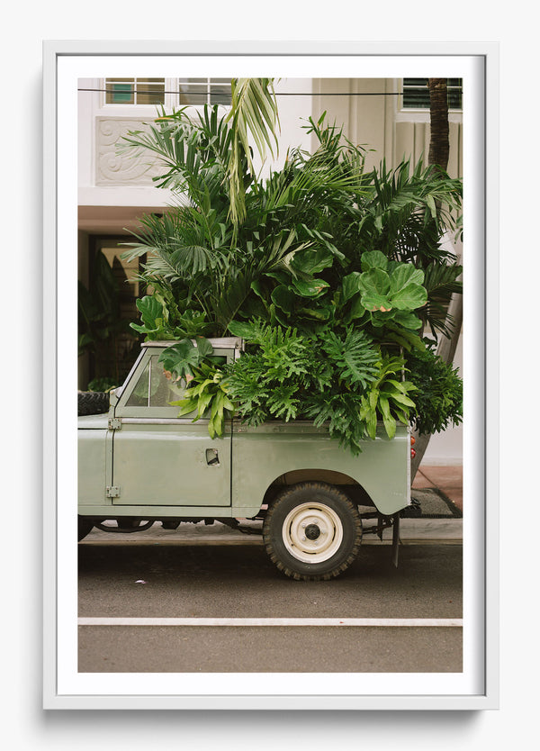 Junk In The Trunk in a White frame