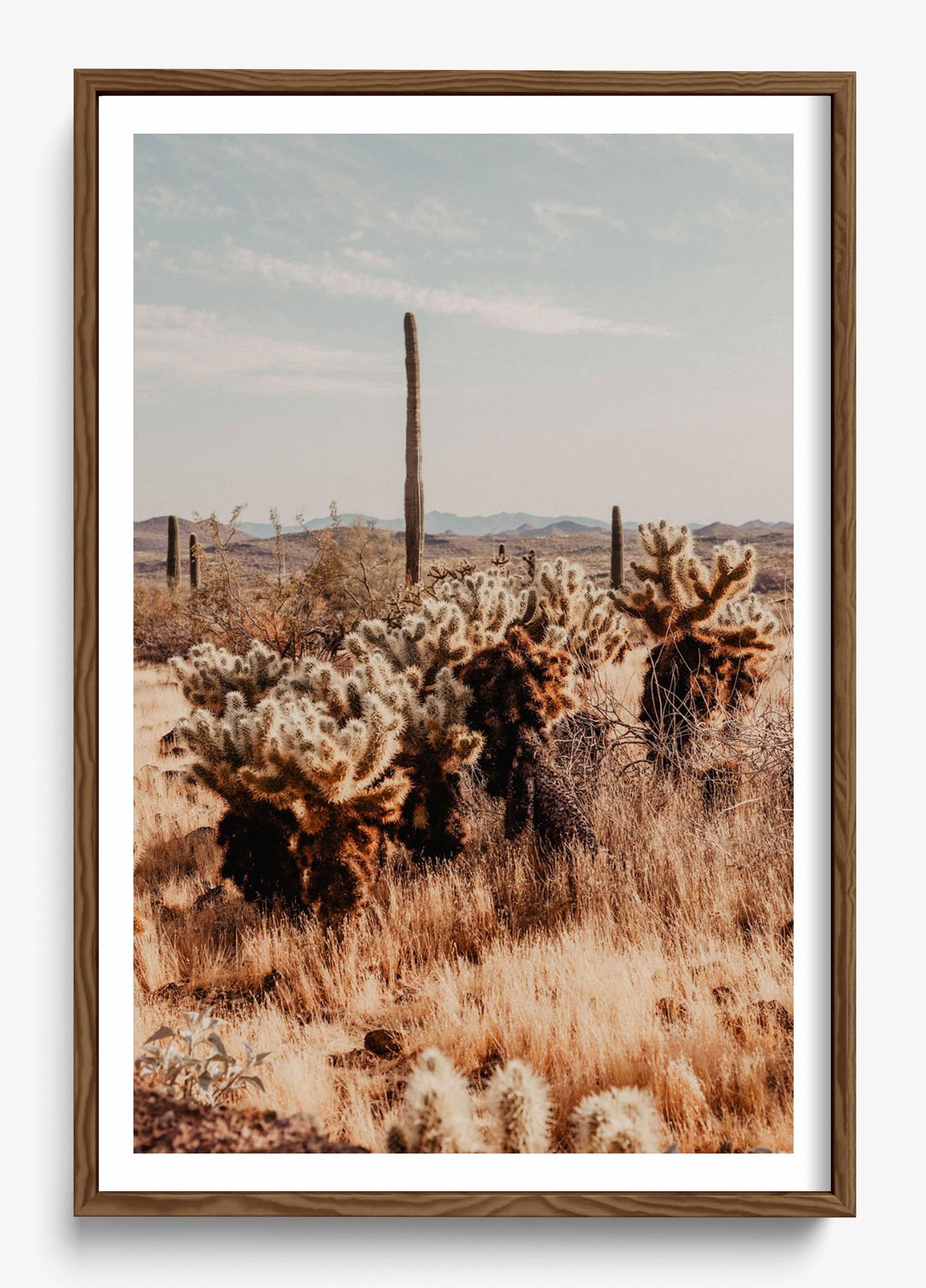 Lake Pleasant