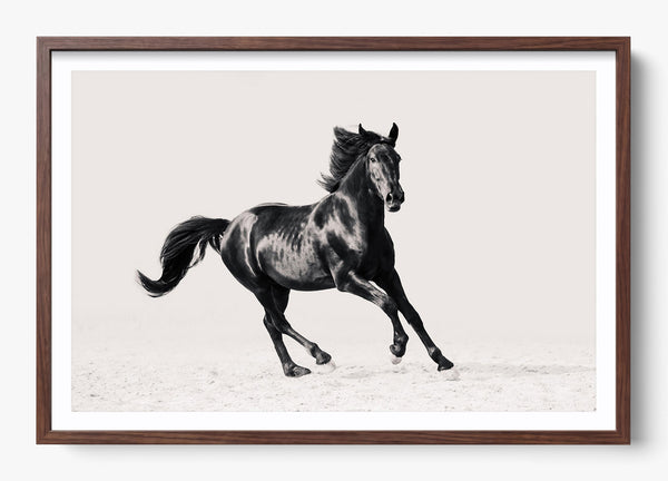 Legacy in a Heritage Walnut frame