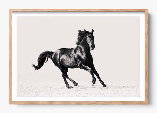 Legacy in a Hickory frame