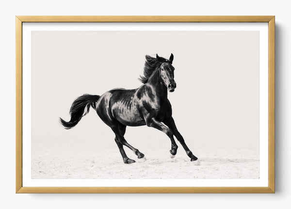 Legacy in a Gold frame