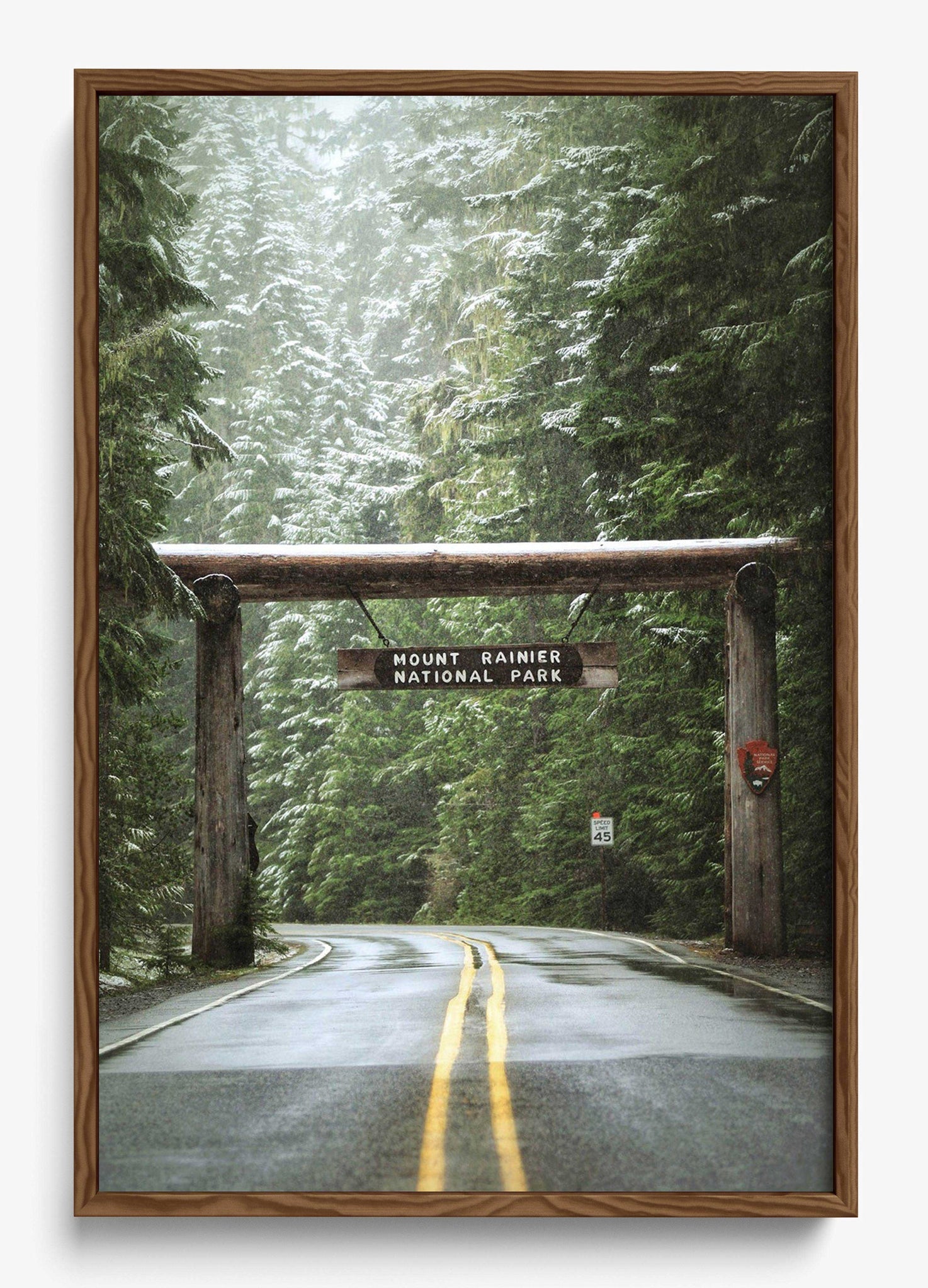Mount Rainier