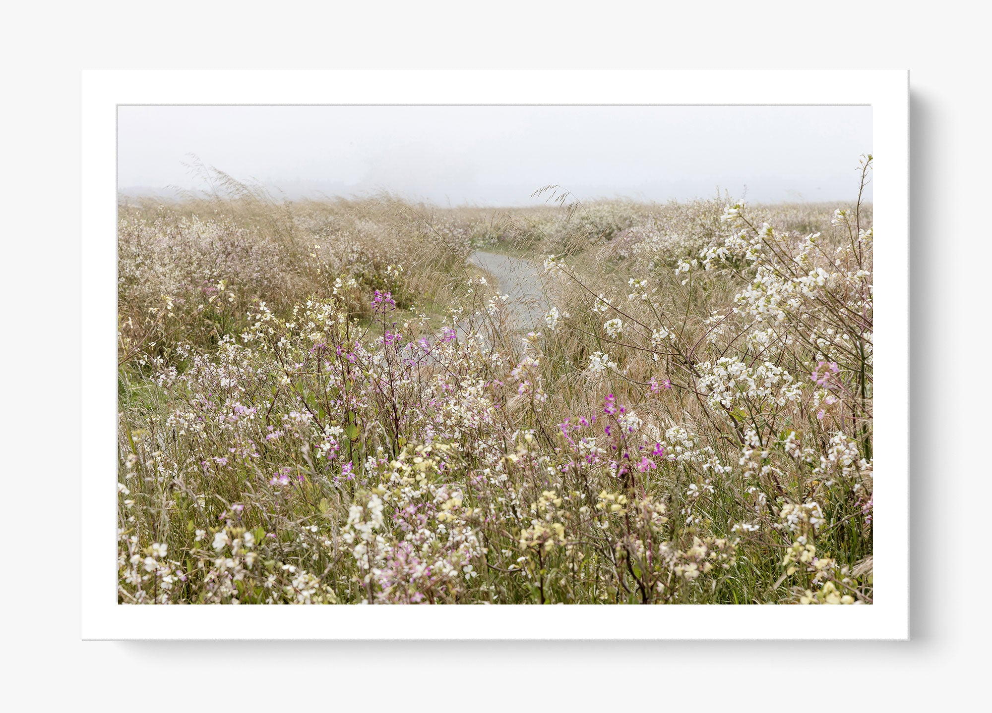 Bloom On The Coast