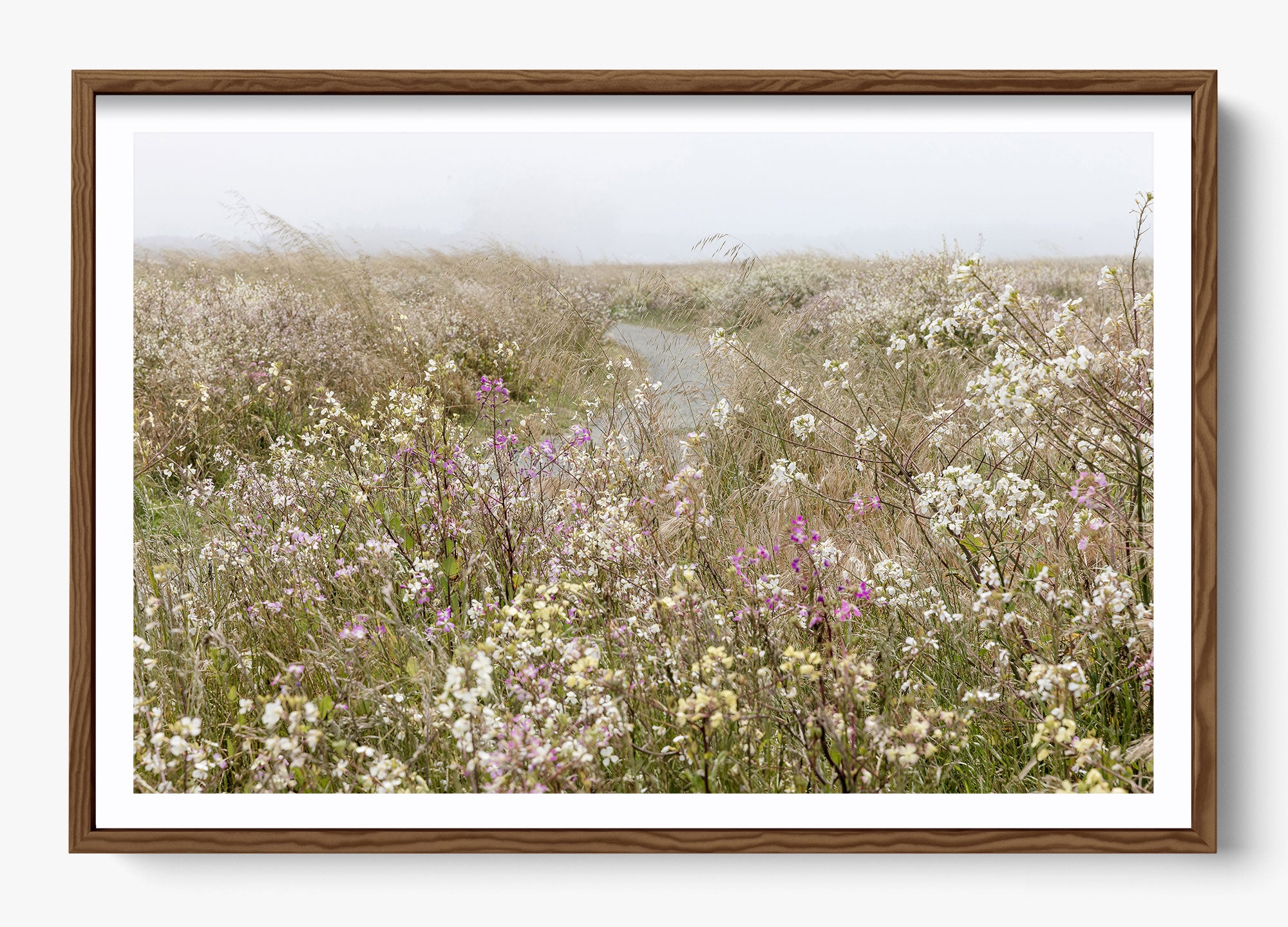 Bloom On The Coast