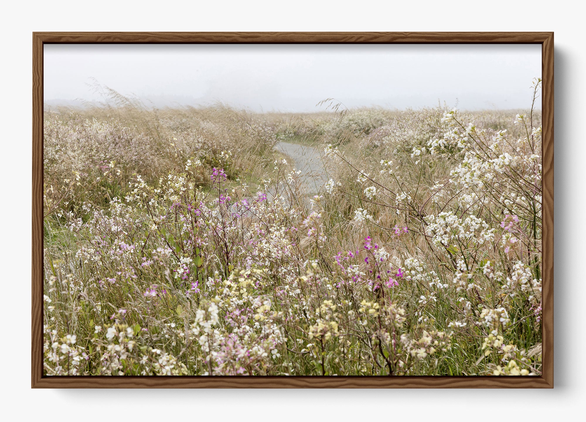 Bloom On The Coast