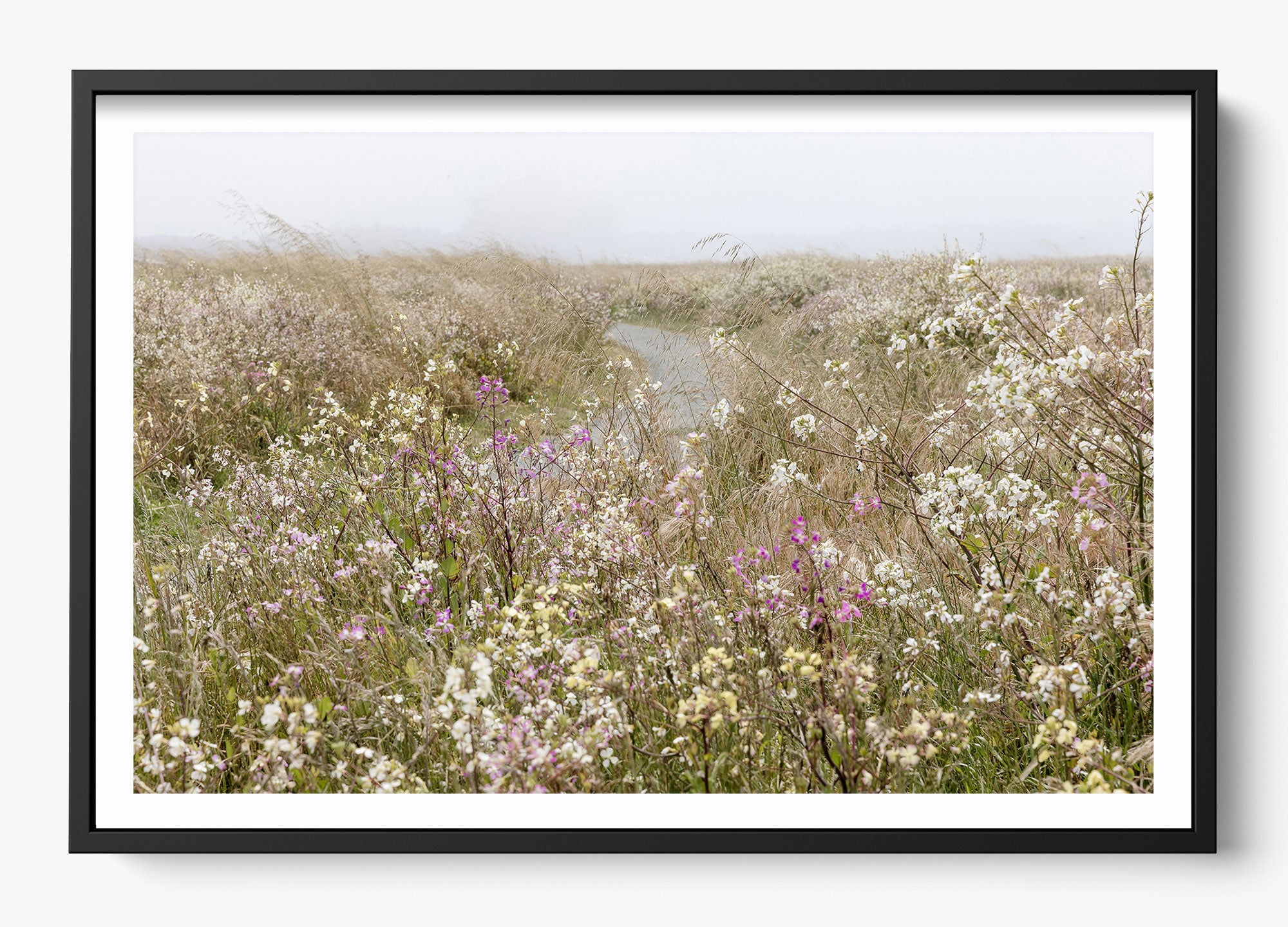 Bloom On The Coast