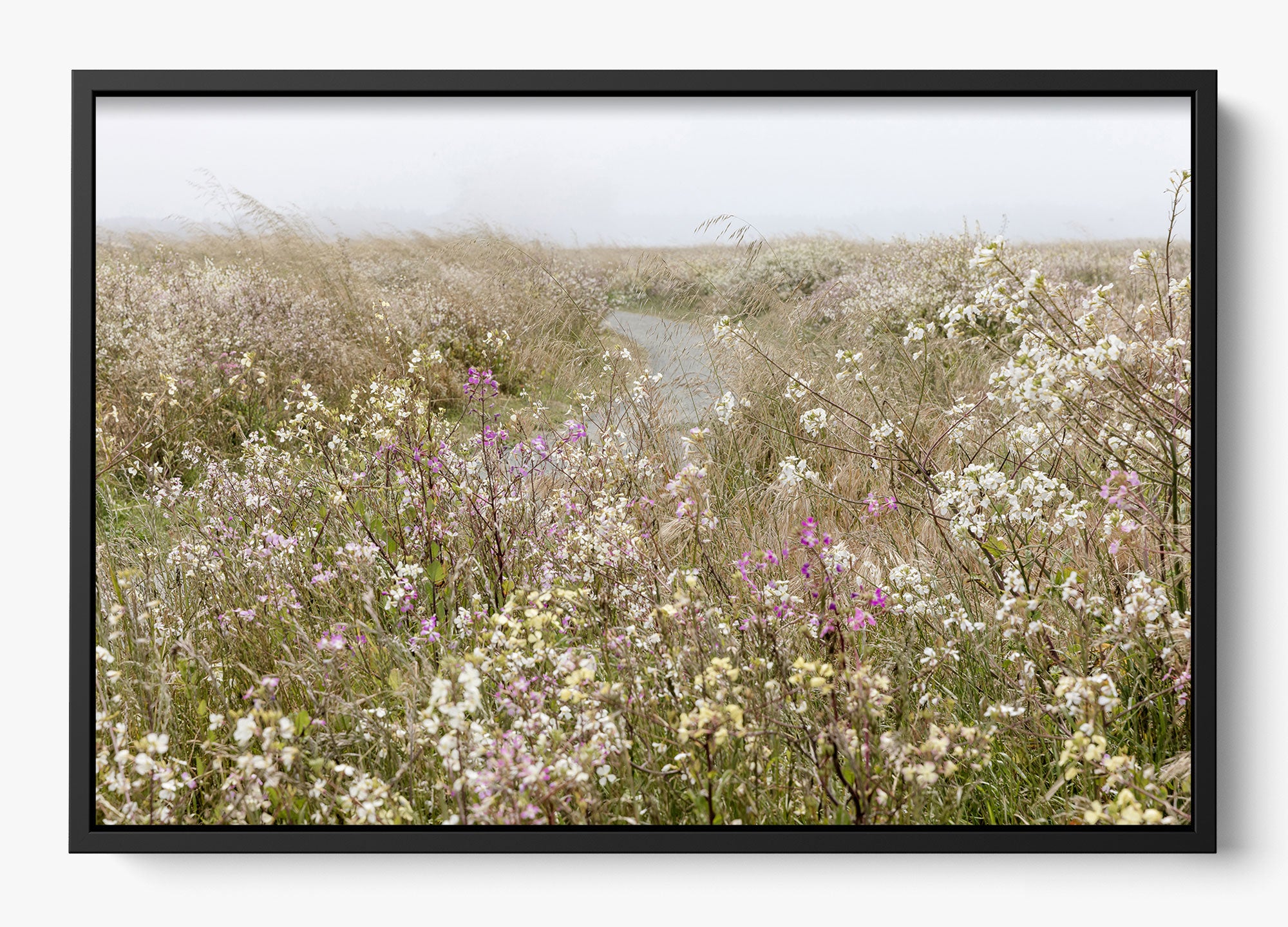 Bloom On The Coast