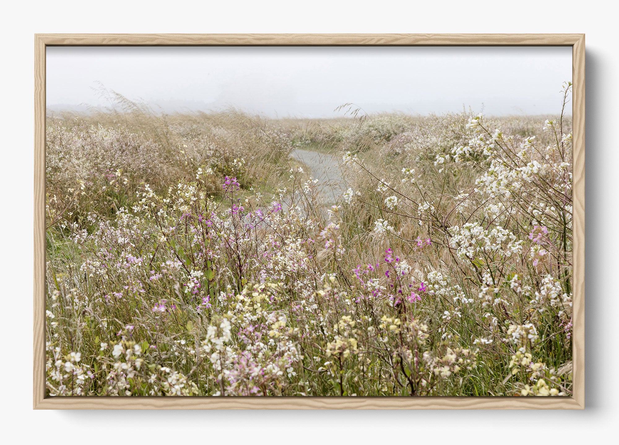 Bloom On The Coast