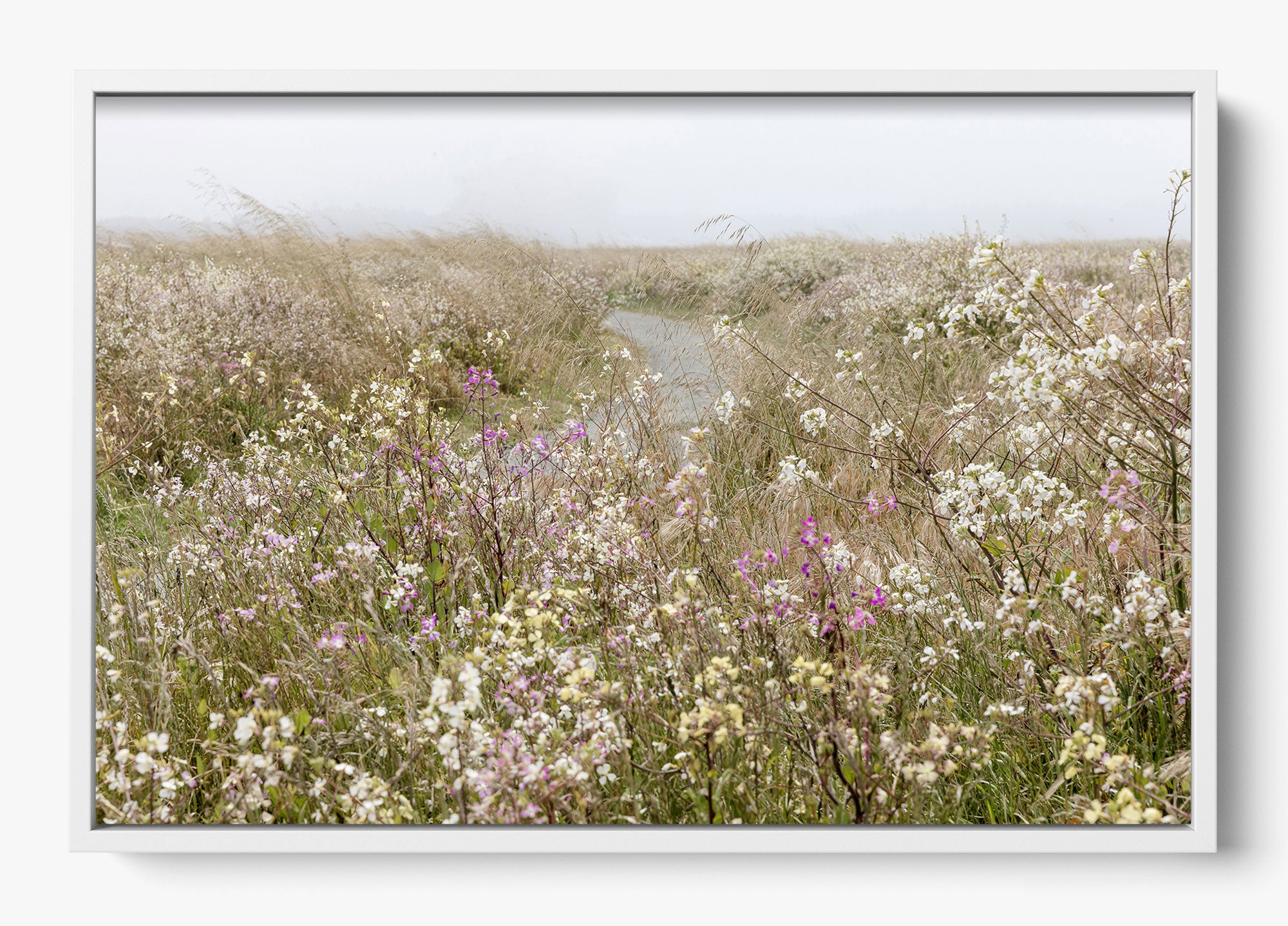 Bloom On The Coast