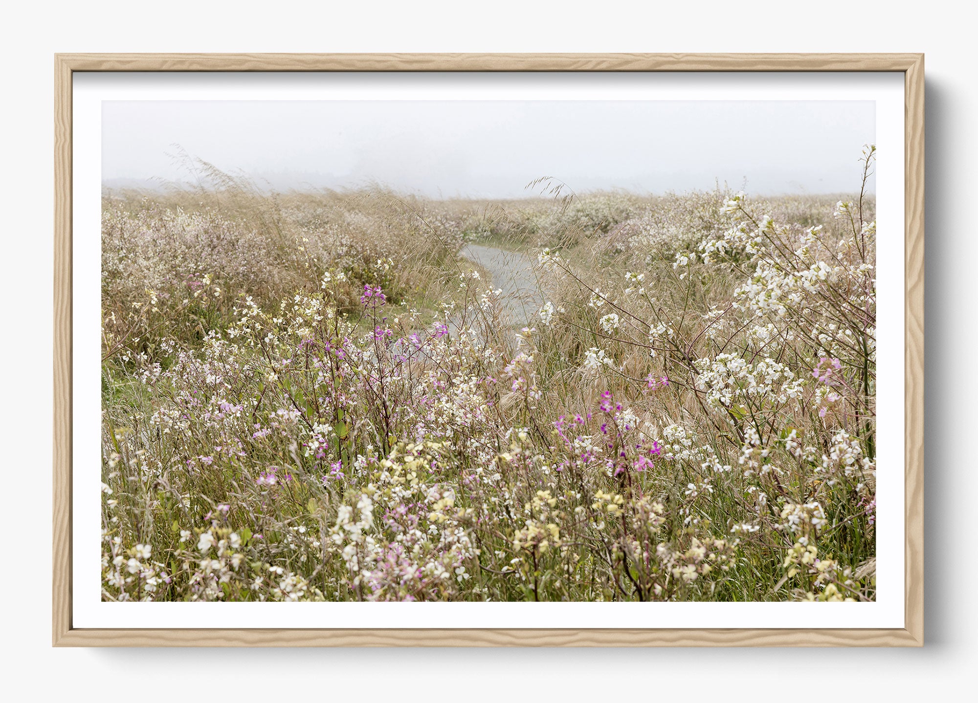 Bloom On The Coast