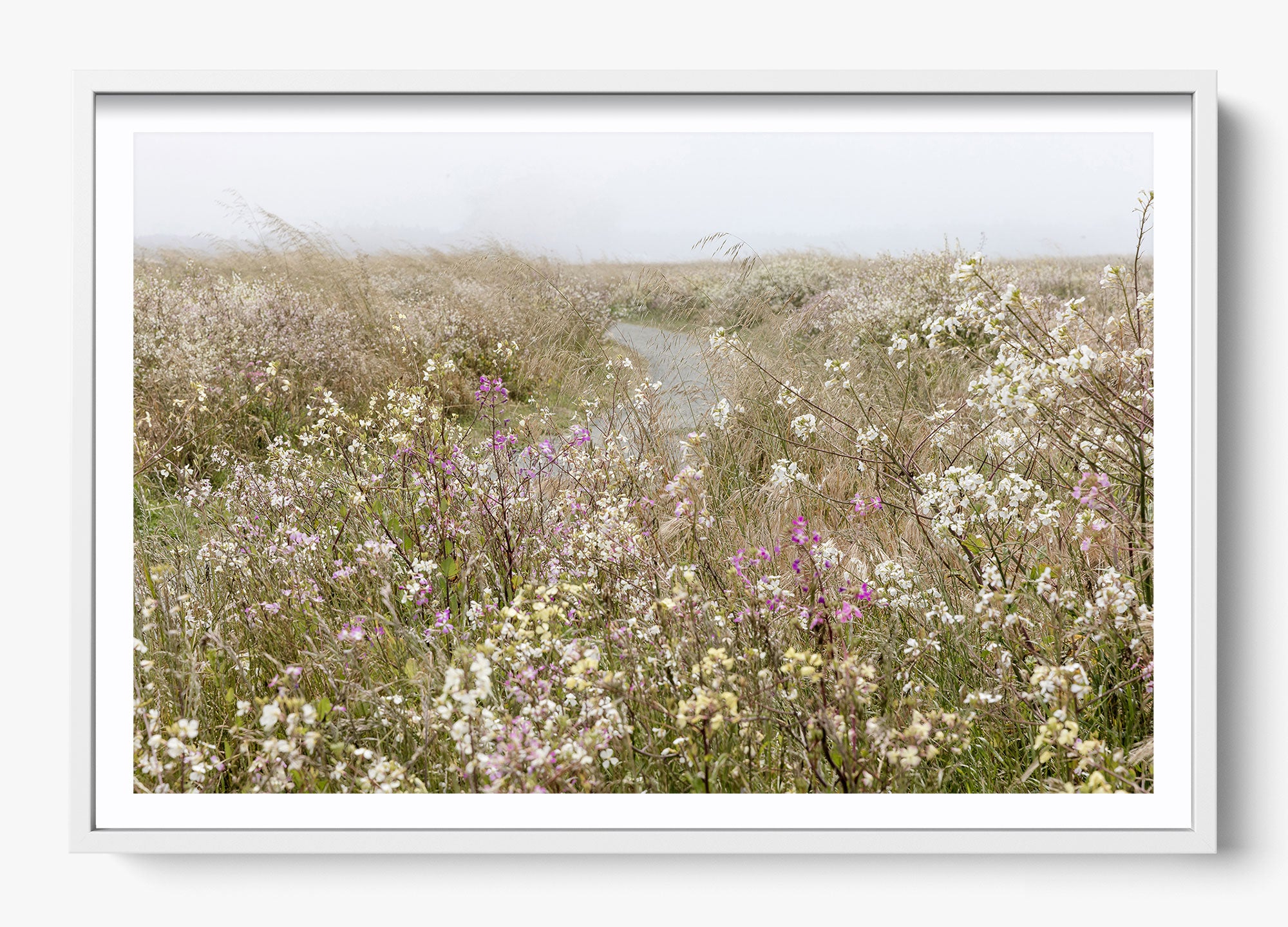 Bloom On The Coast