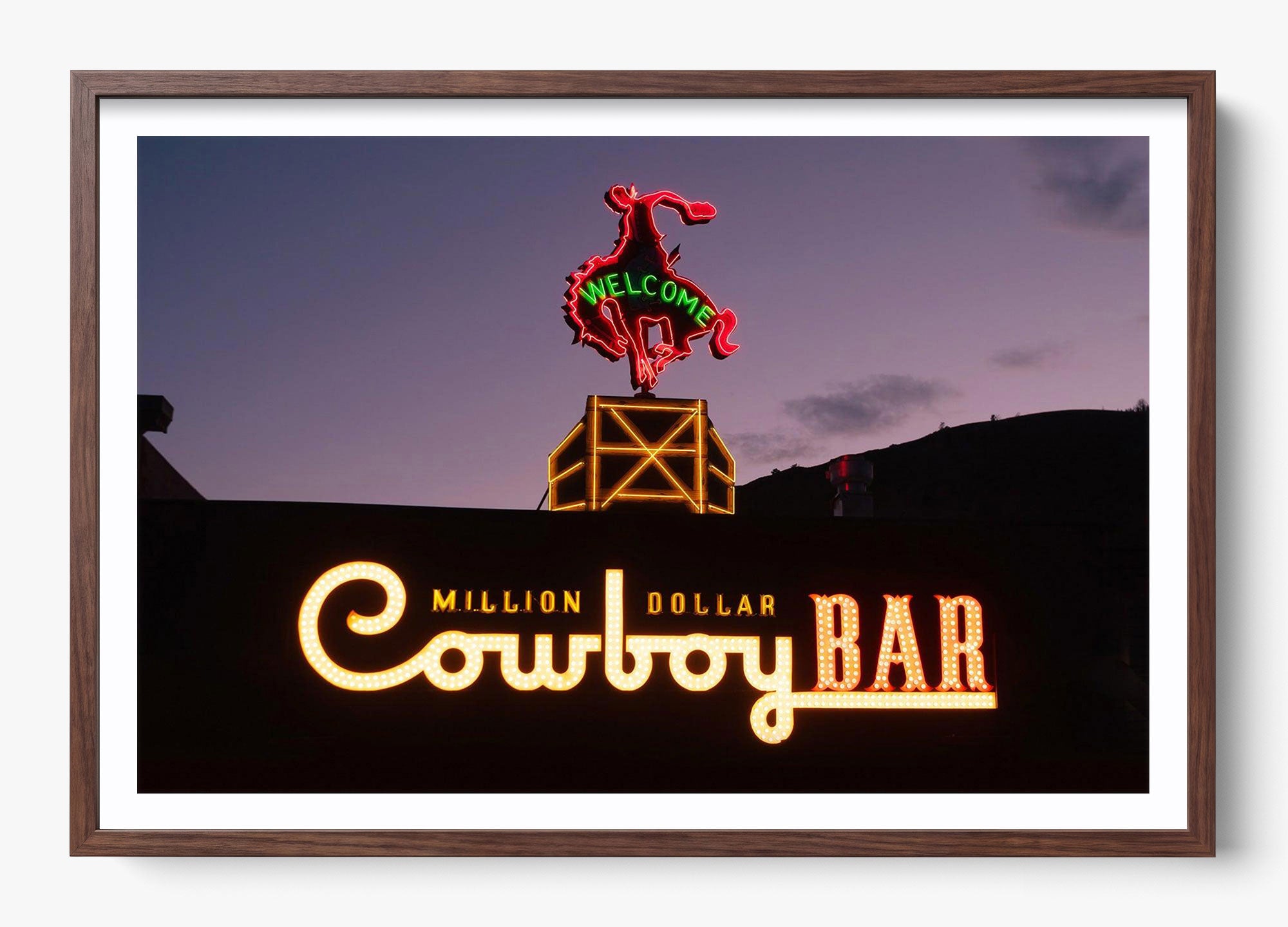 Million Dollar Cowboy