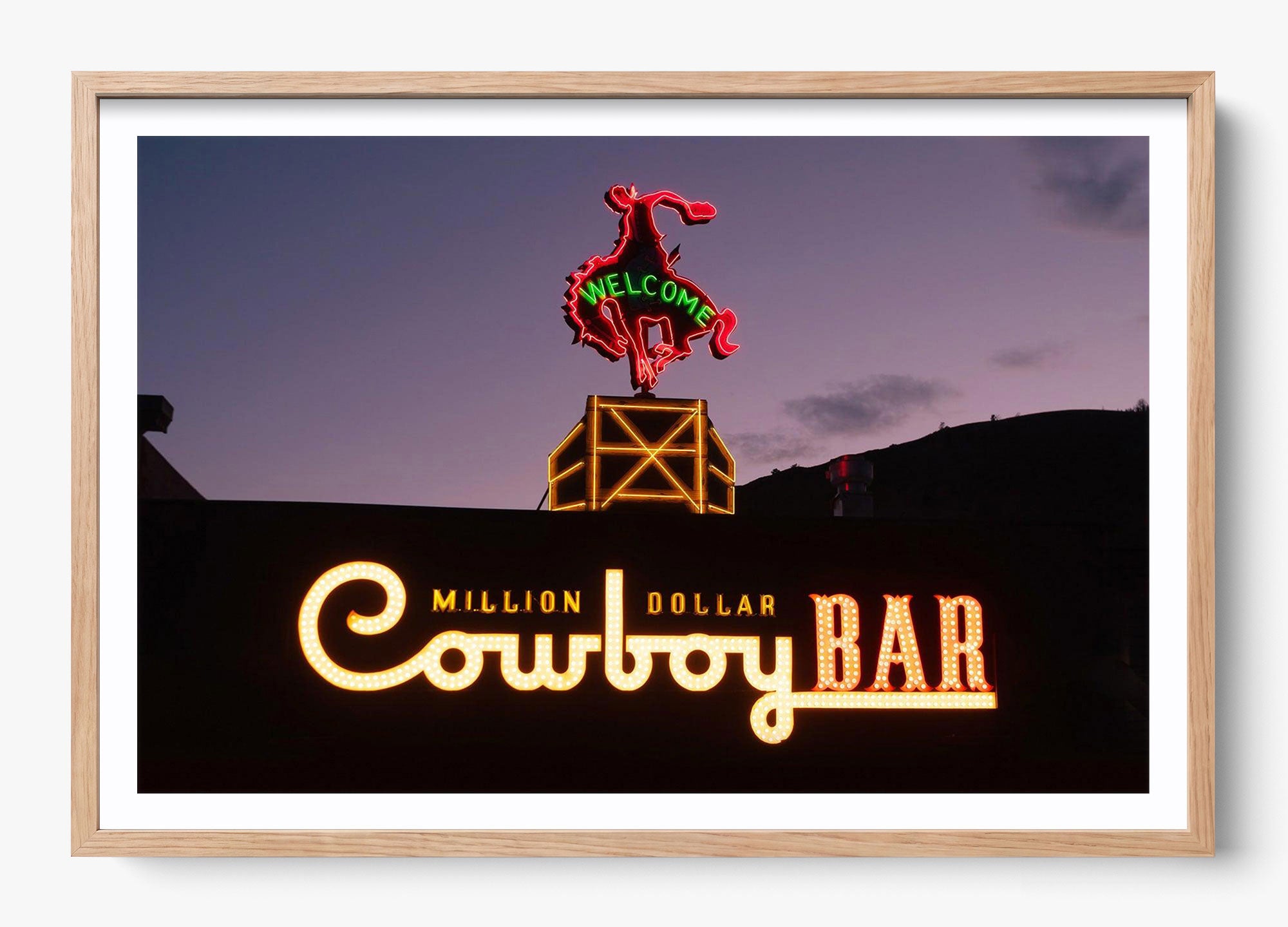 Million Dollar Cowboy