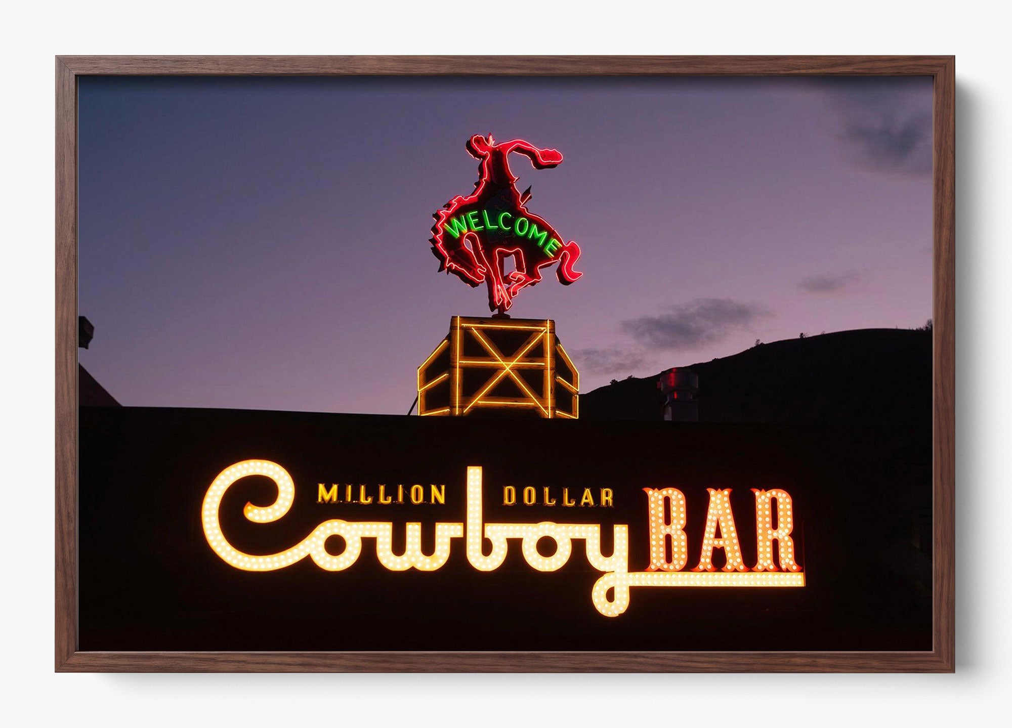 Million Dollar Cowboy