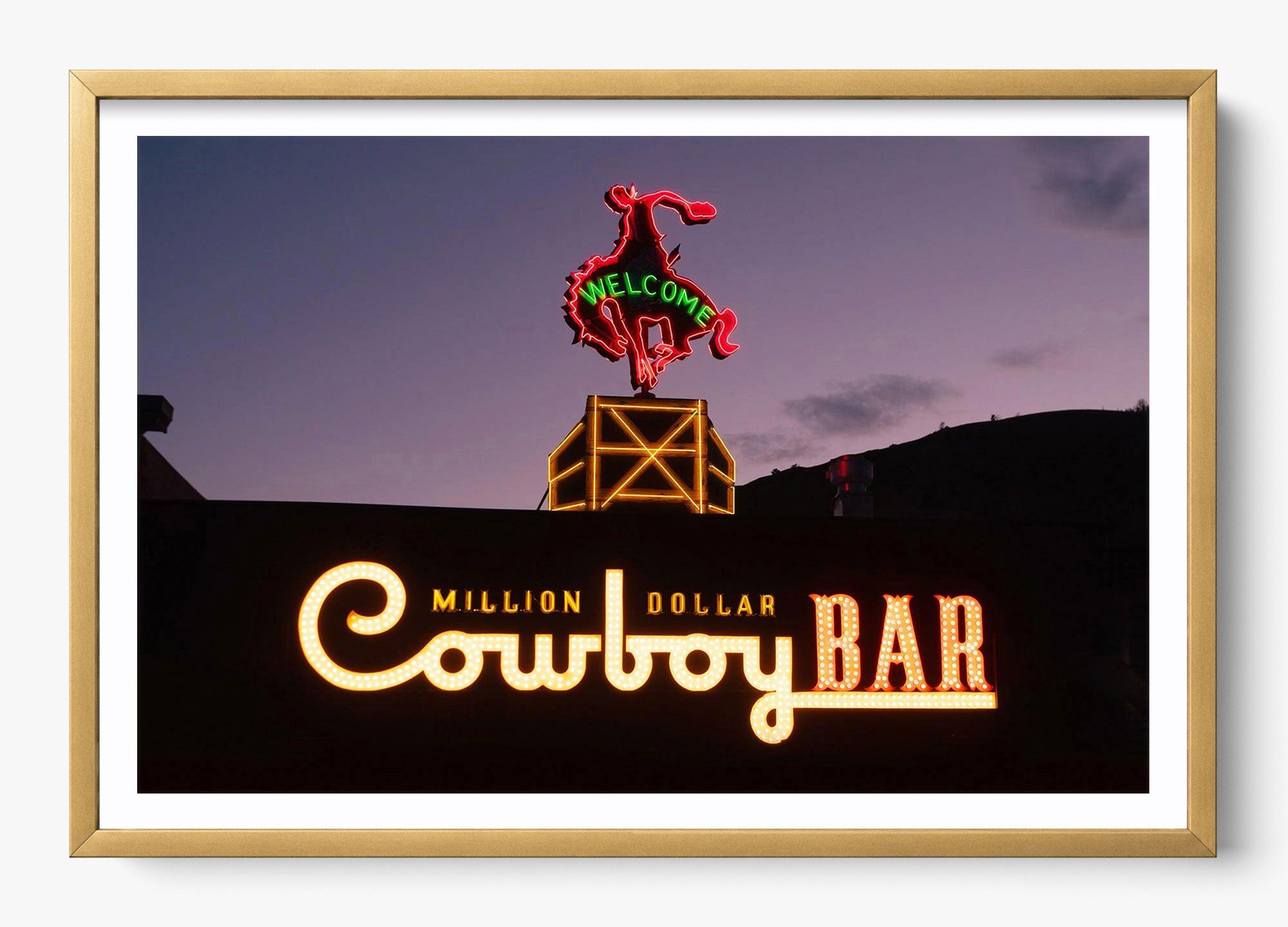 Million Dollar Cowboy