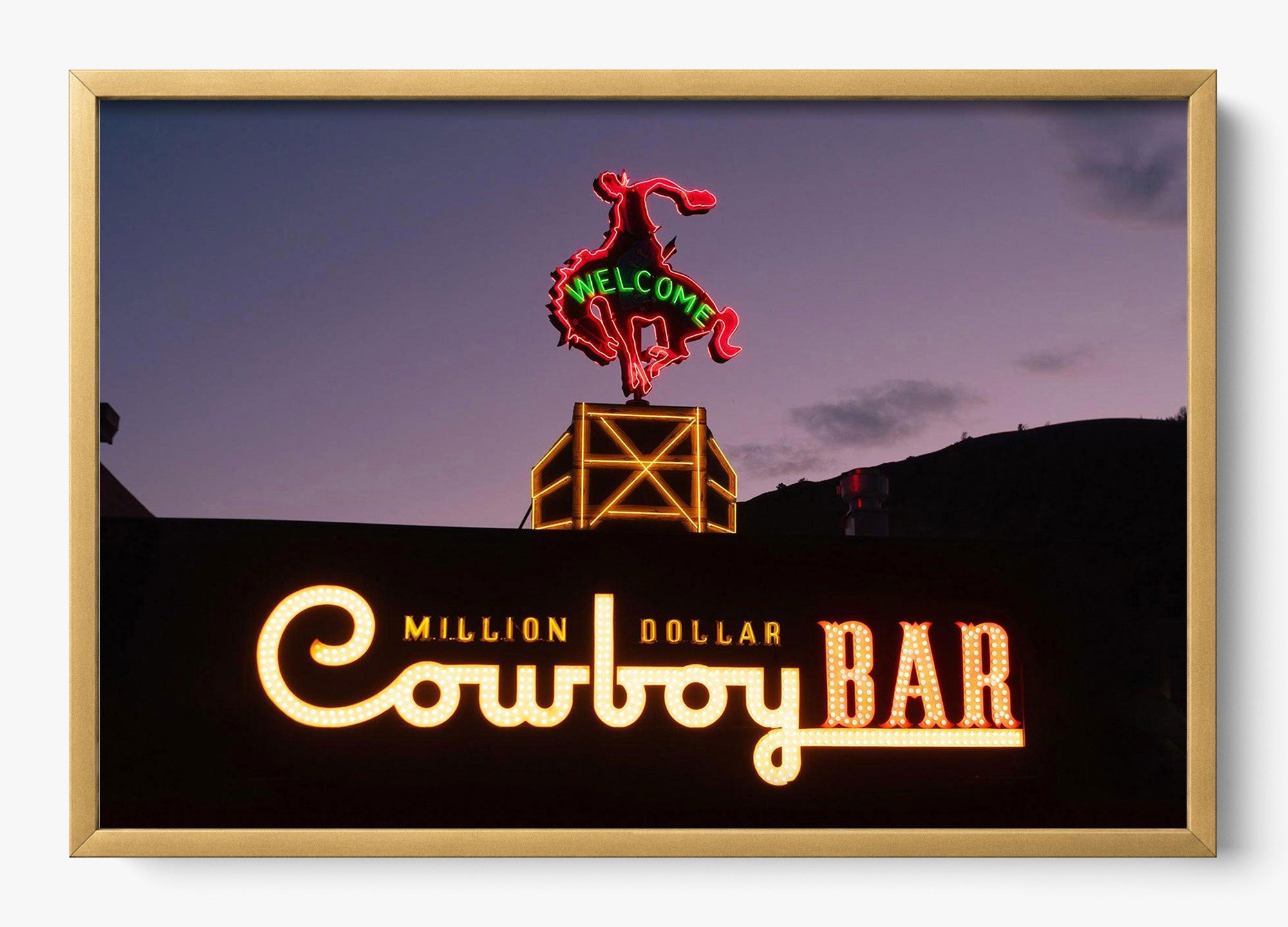 Million Dollar Cowboy