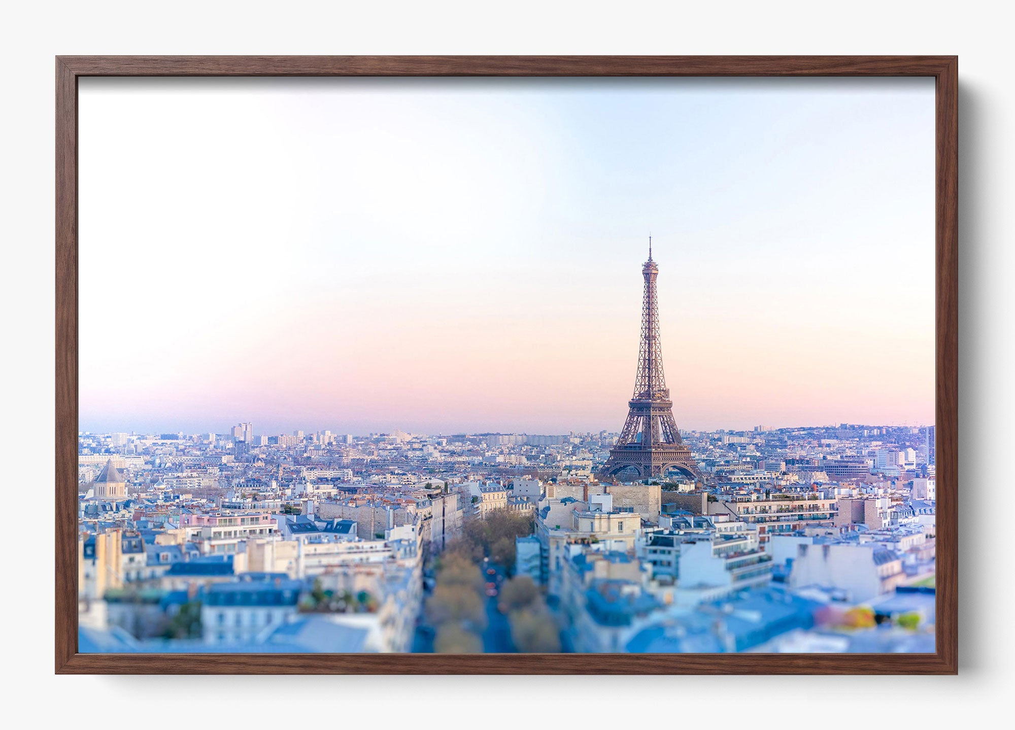 Morning Pariscapes