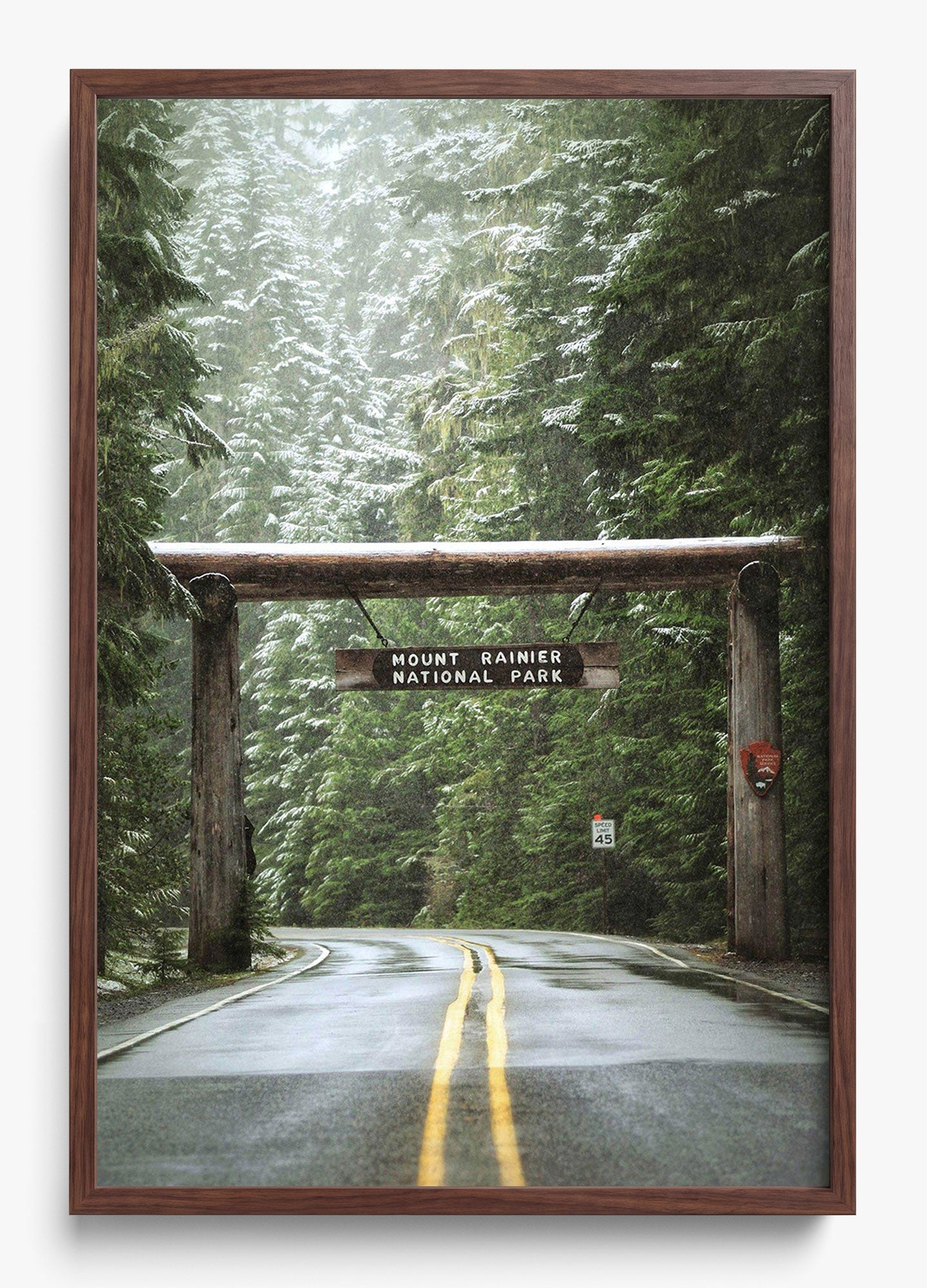Mount Rainier
