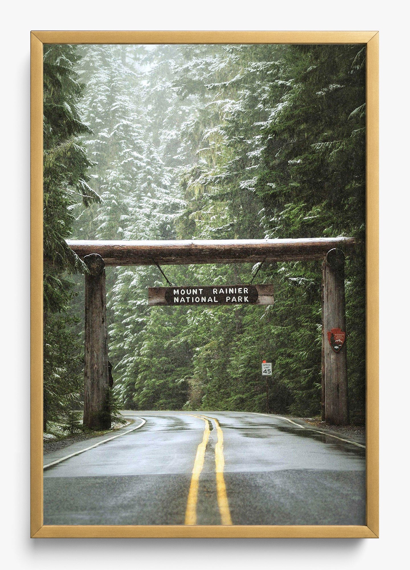 Mount Rainier