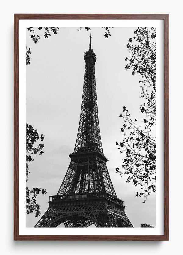 My Paree in a Heritage Walnut frame