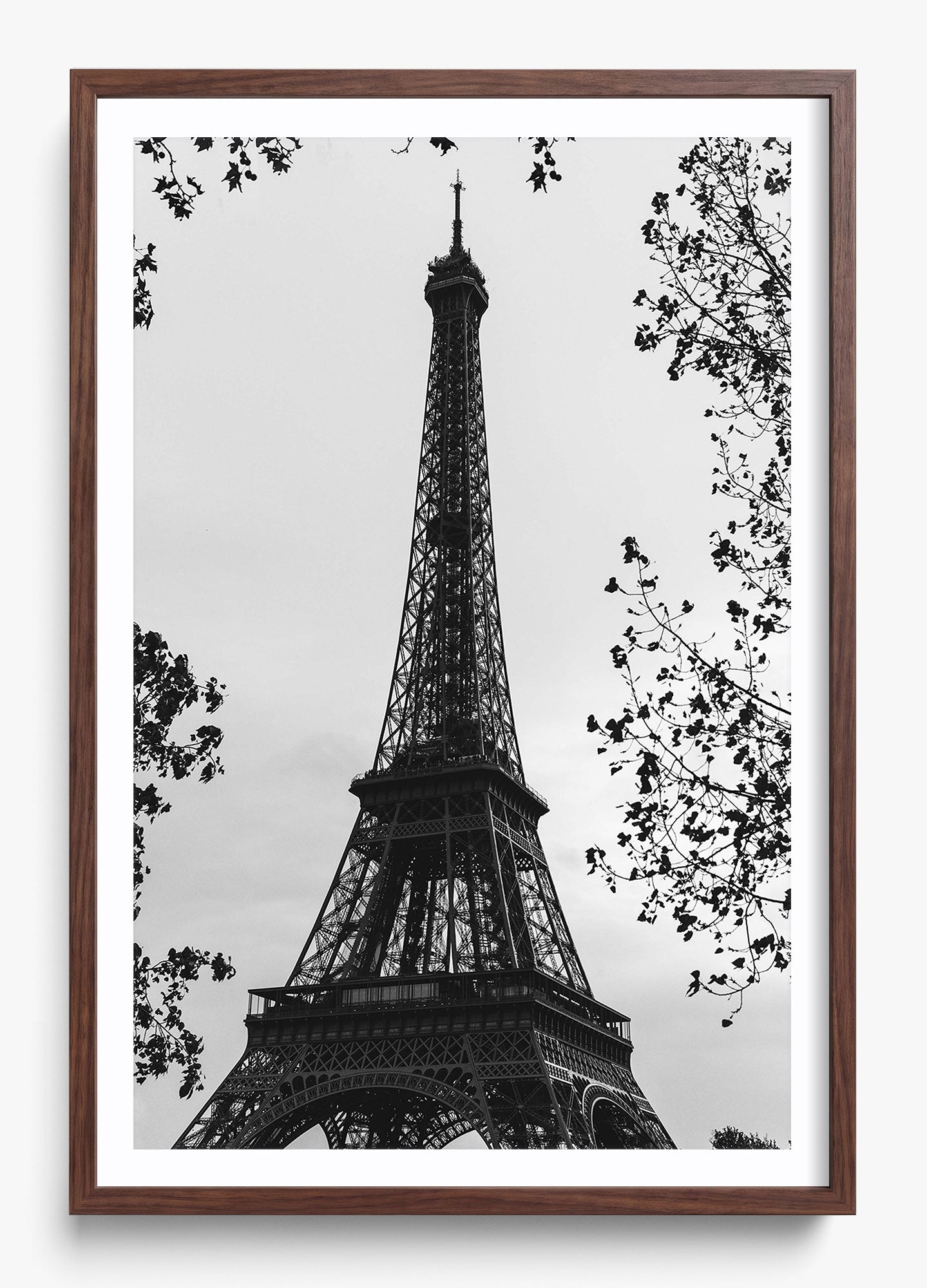 My Paree