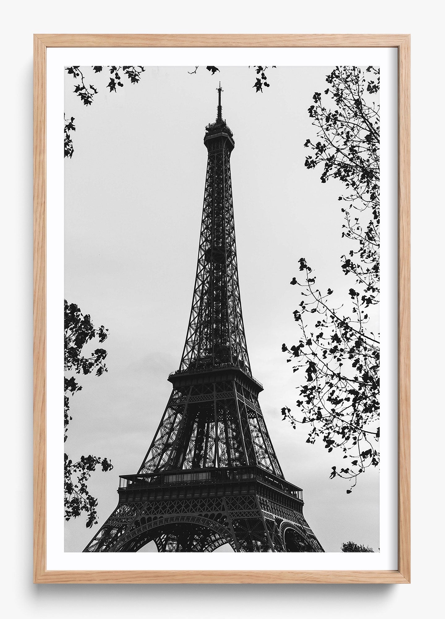 My Paree