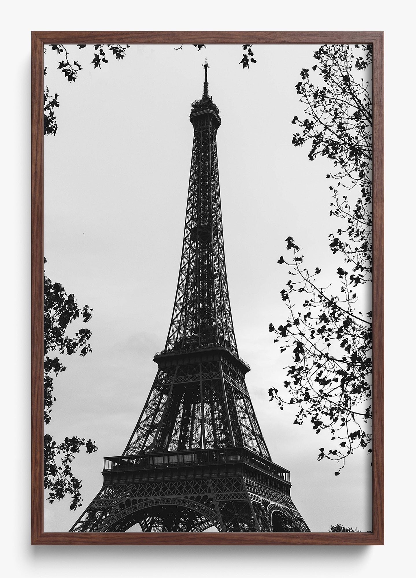 My Paree