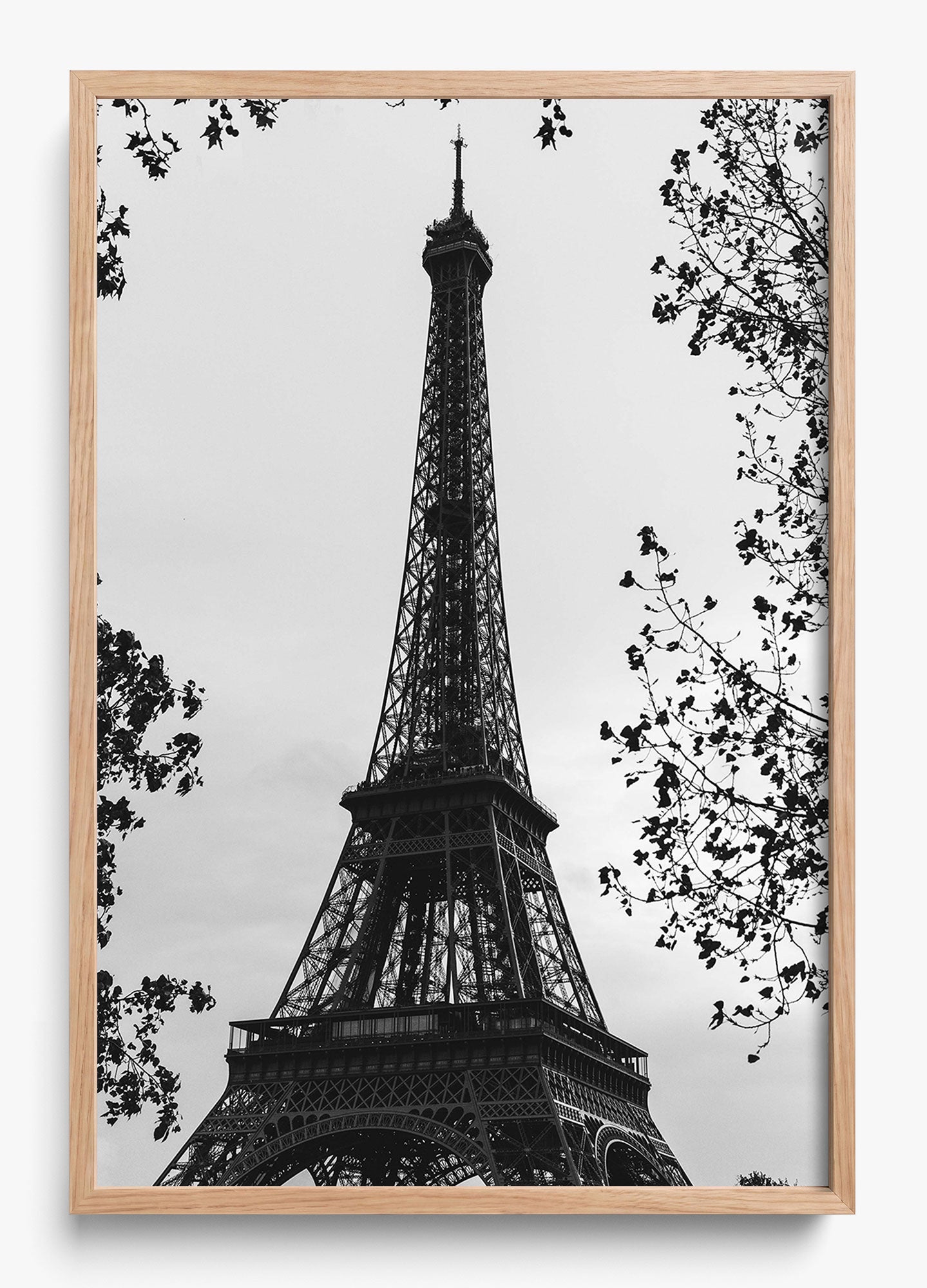 My Paree