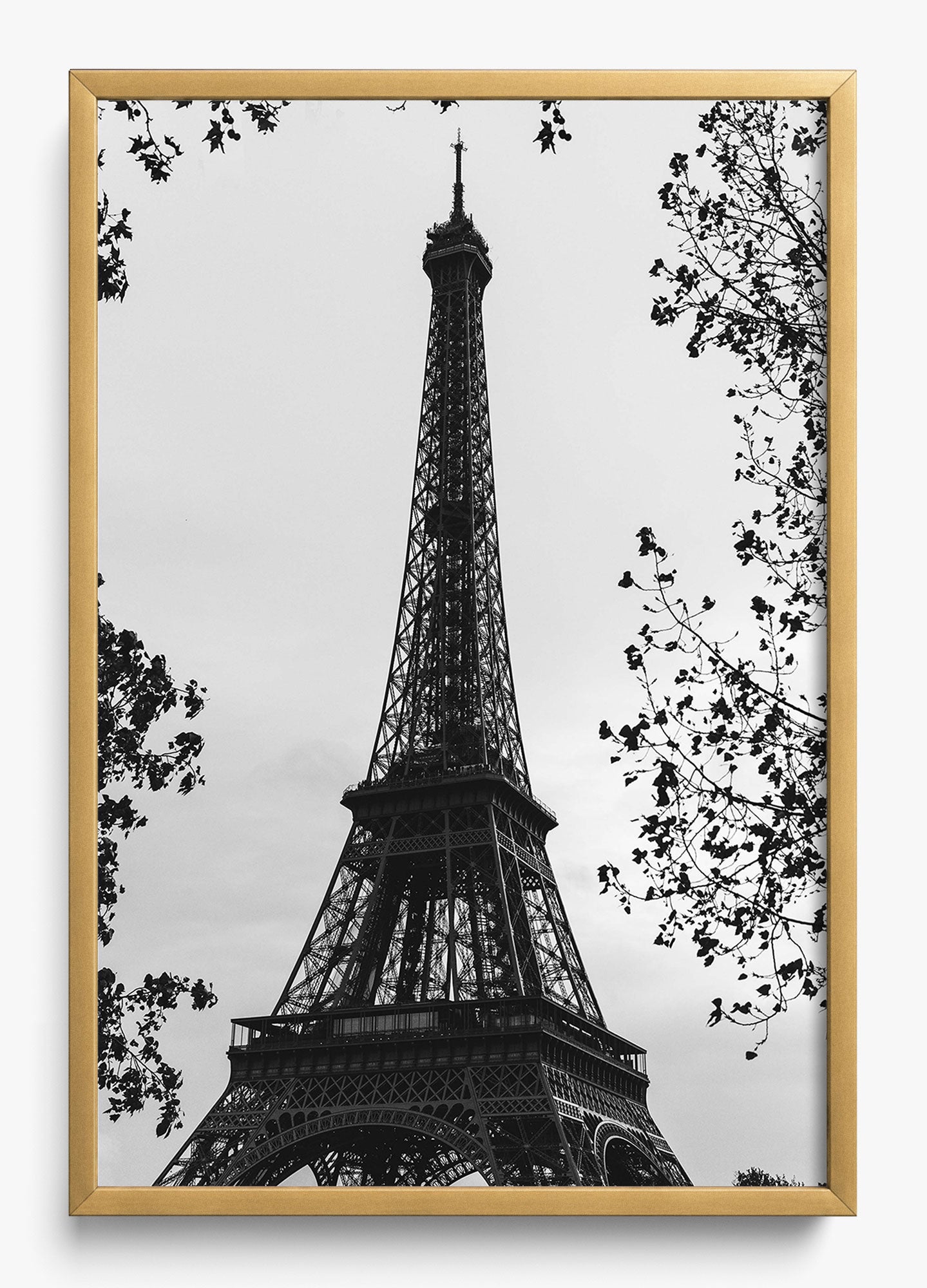 My Paree