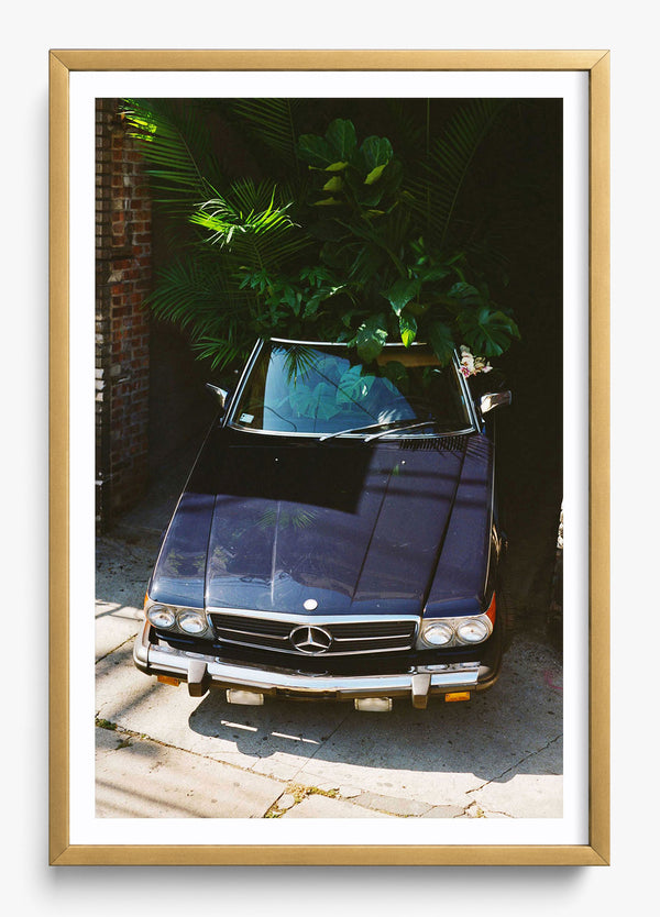 No Peeking in a Gold frame