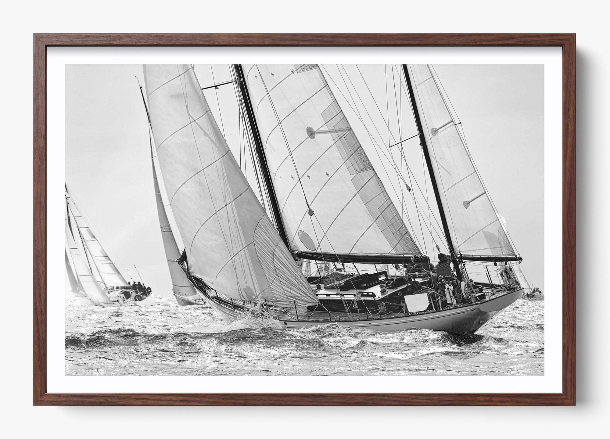 Northward Winds