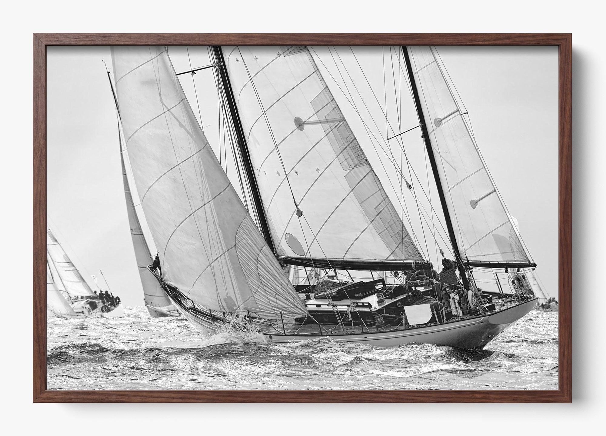 Northward Winds